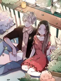 漫画作品泥金手记封面示意，等高线纹理底图